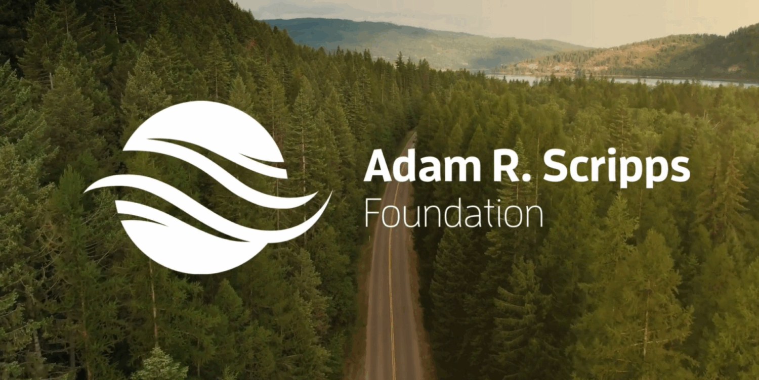 Screenshot 2025 04 21 151307